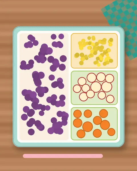 Illustration of Grape Halves in a colourful bento box